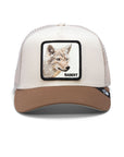 BANDIT COYOTE BALL CAP