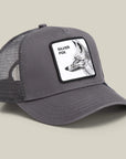 SILVER FOXXX BALL CAP