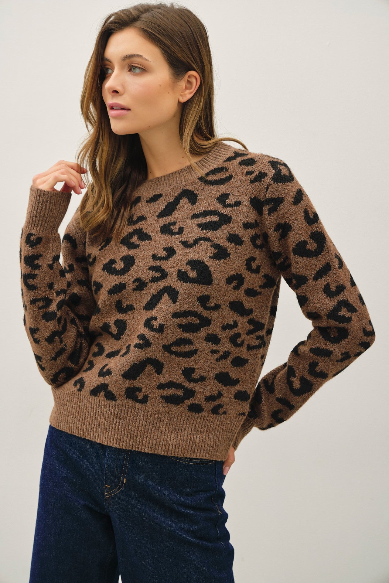 LEOPARD PRINT PULLOVER SWEATER