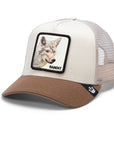 BANDIT COYOTE BALL CAP