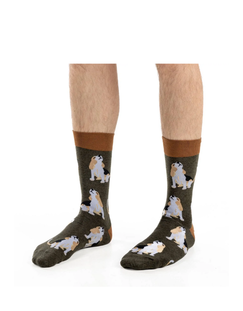 BEAGLE DOG SOCKS