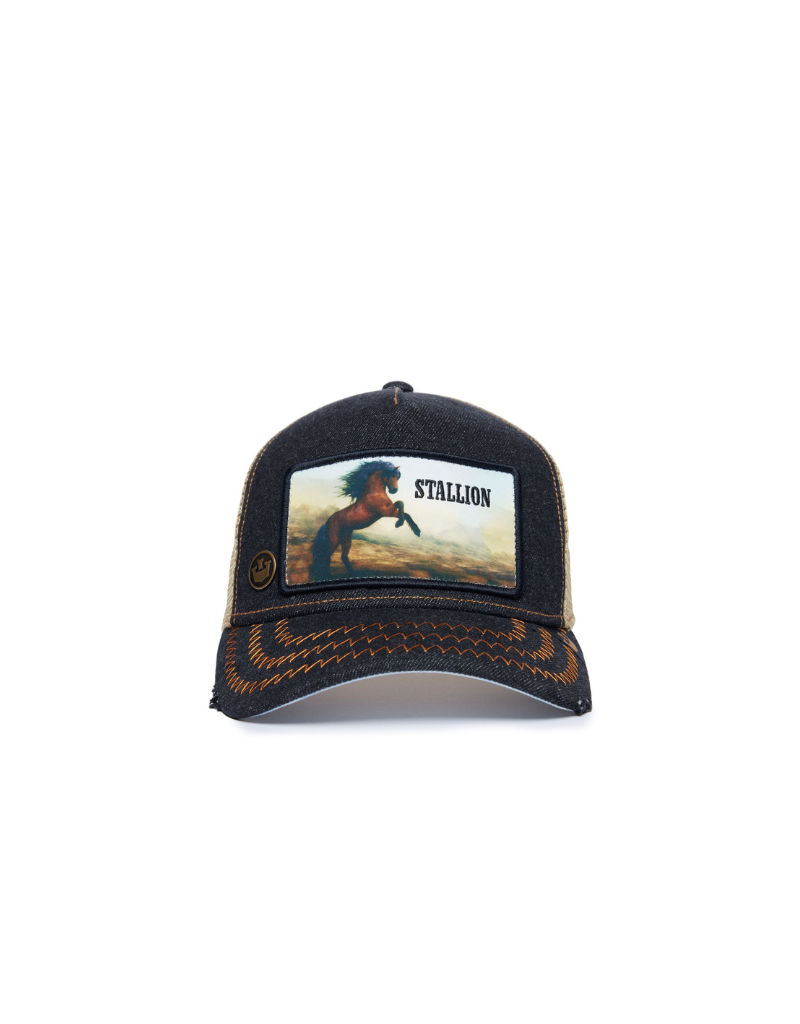 goorin bros stallion scene ball cap front view