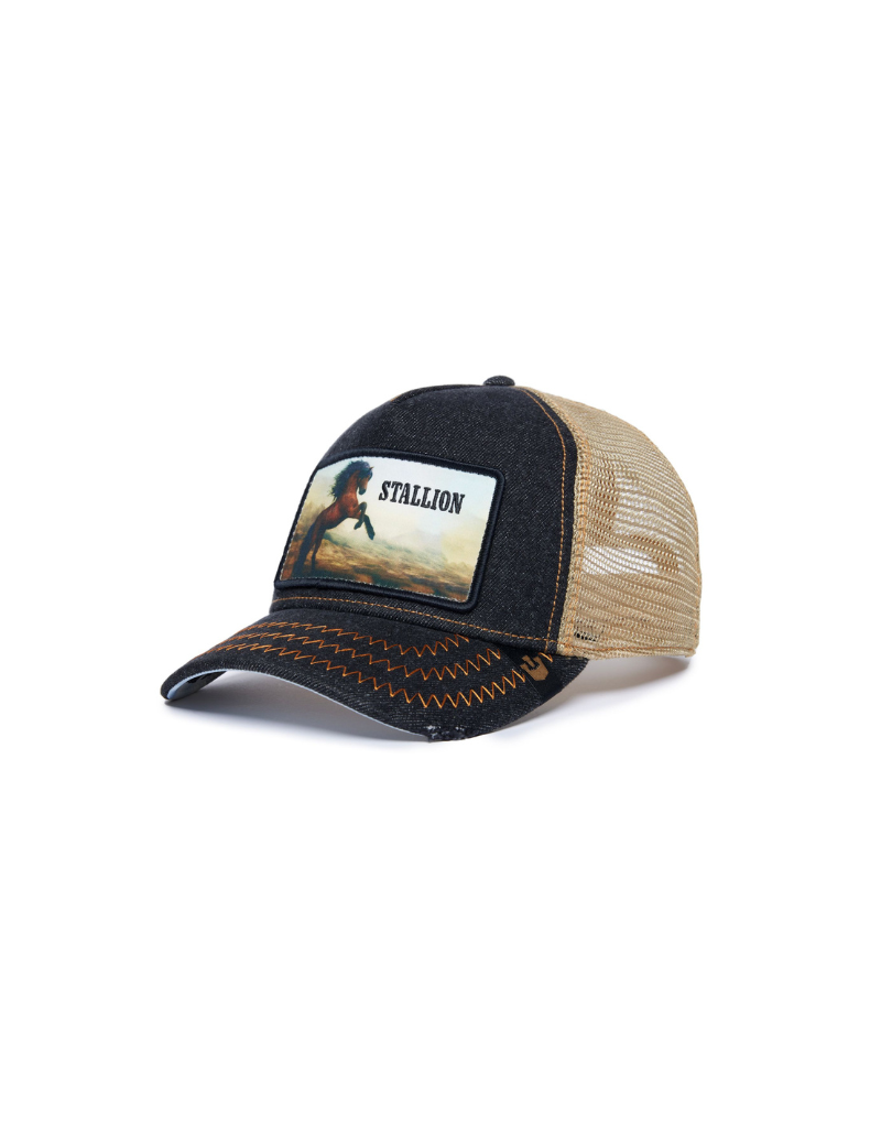 goorin bros stallion scene ball cap angled view