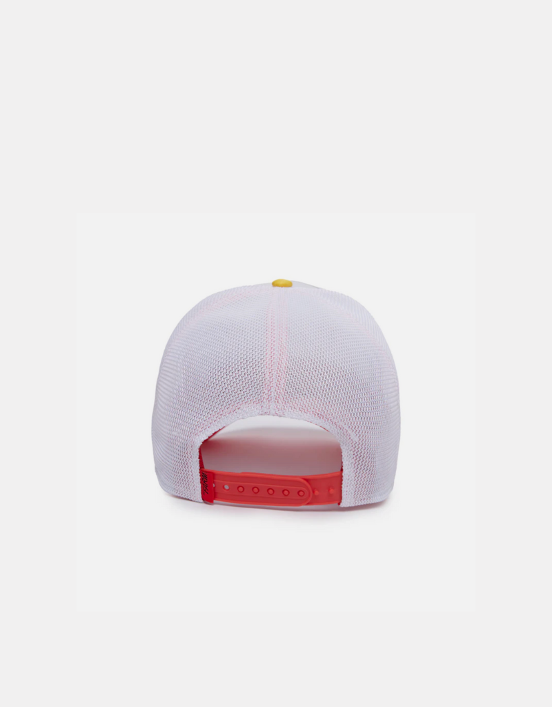 goorin bros opossum hypercolor ball cap back view