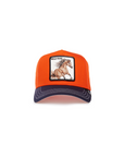 BRONCO FAN BALL CAP