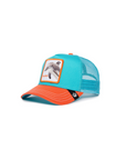 DOLPHIN FAN BALL CAP