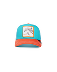 DOLPHIN FAN BALL CAP