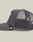 SILVER FOXXX BALL CAP