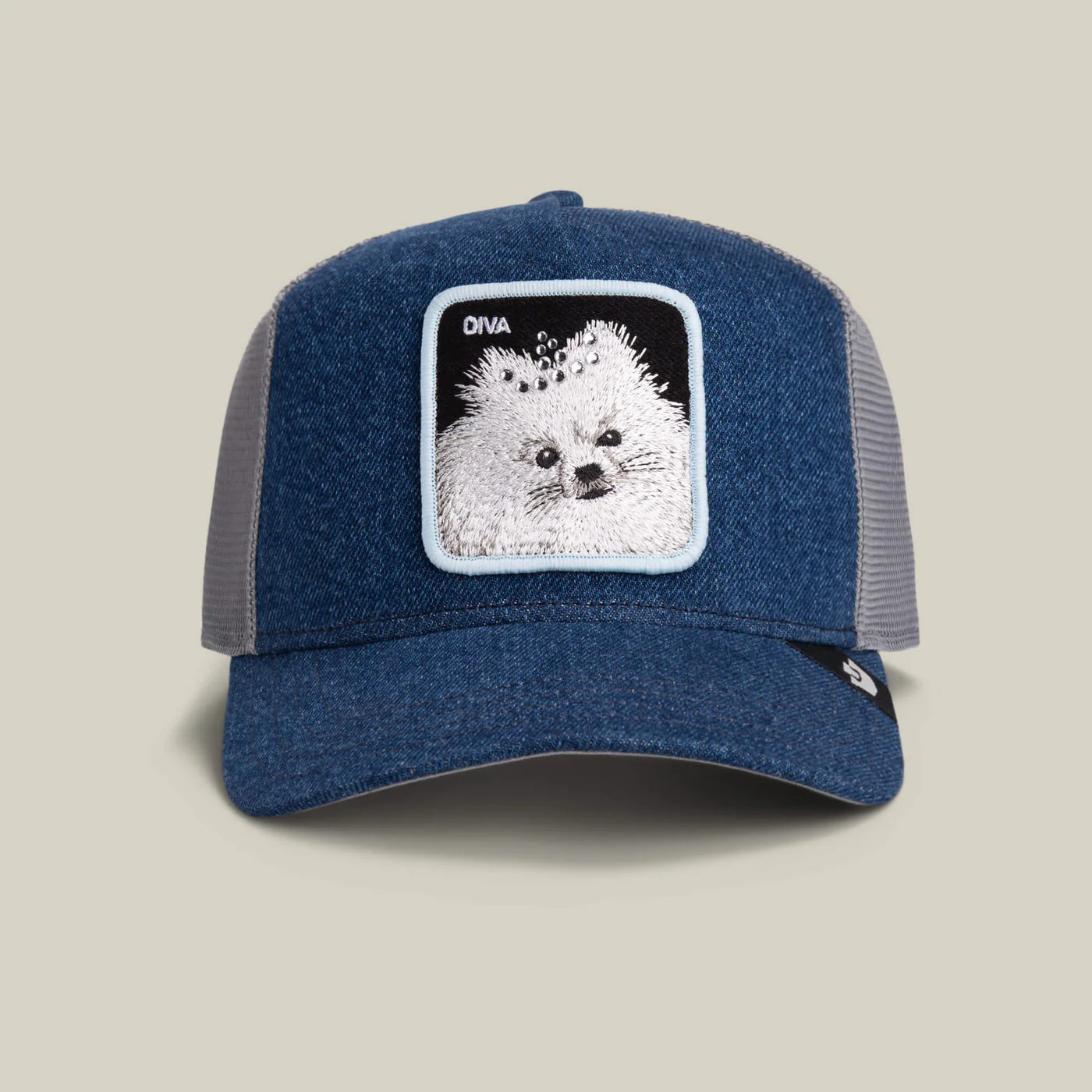 DIVA DAWG BALL CAP