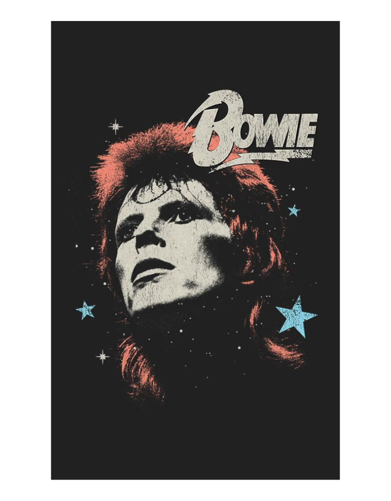 prince peter bowie stars portrait tee, detail