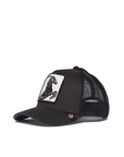 STALLION BALL CAP